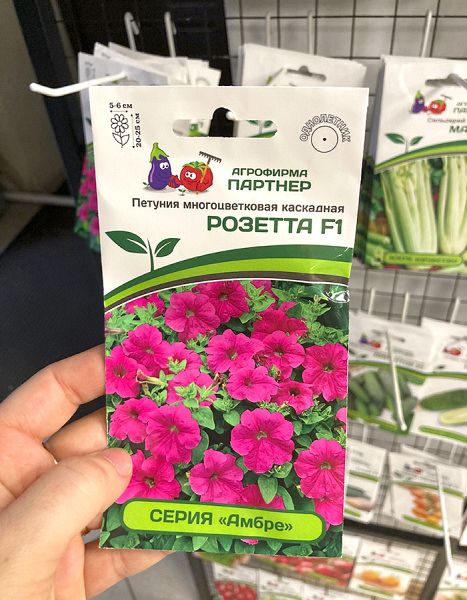 петуния Розетта F1 каскадная, серия "Амбер"